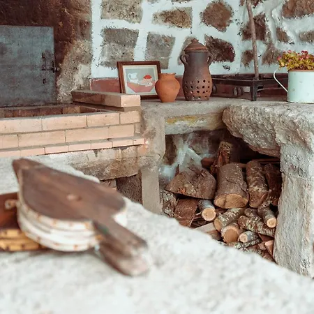 Charming Holiday House - House & Apartment Biscoitos  Room photo