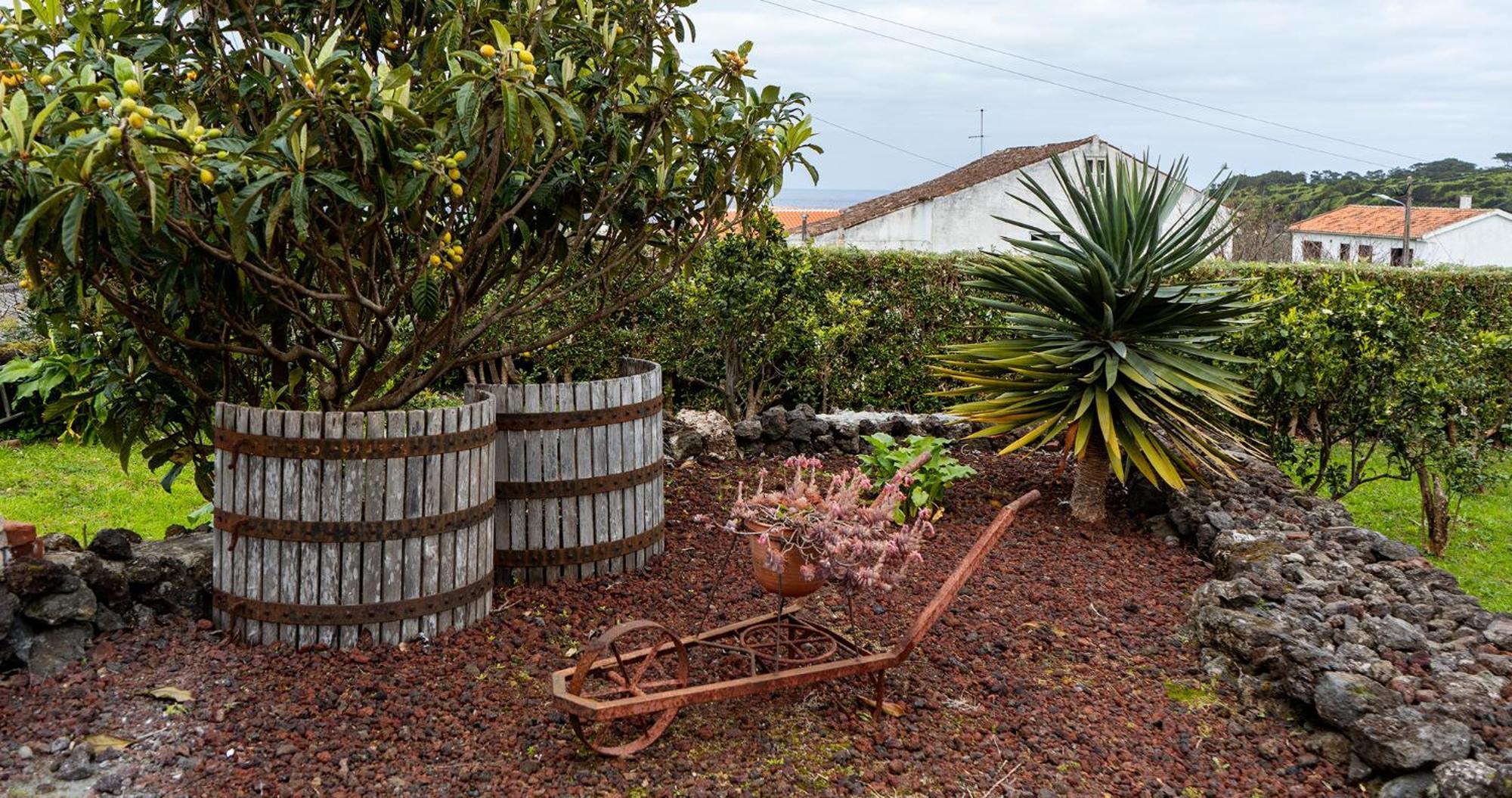 Holiday home Charming House - House & Biscoitos (Terceira)